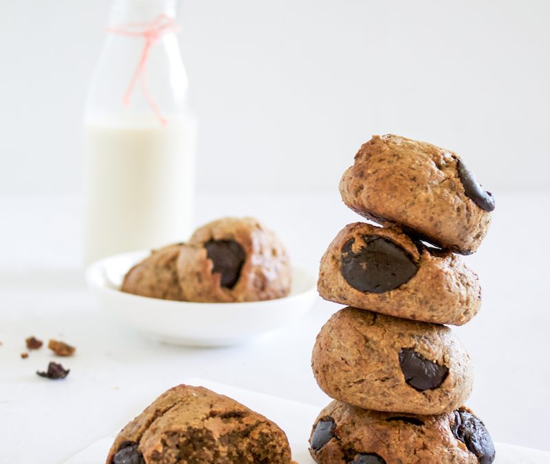 Chocolate Chip Protein Cookies 